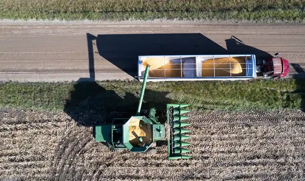agriculture image